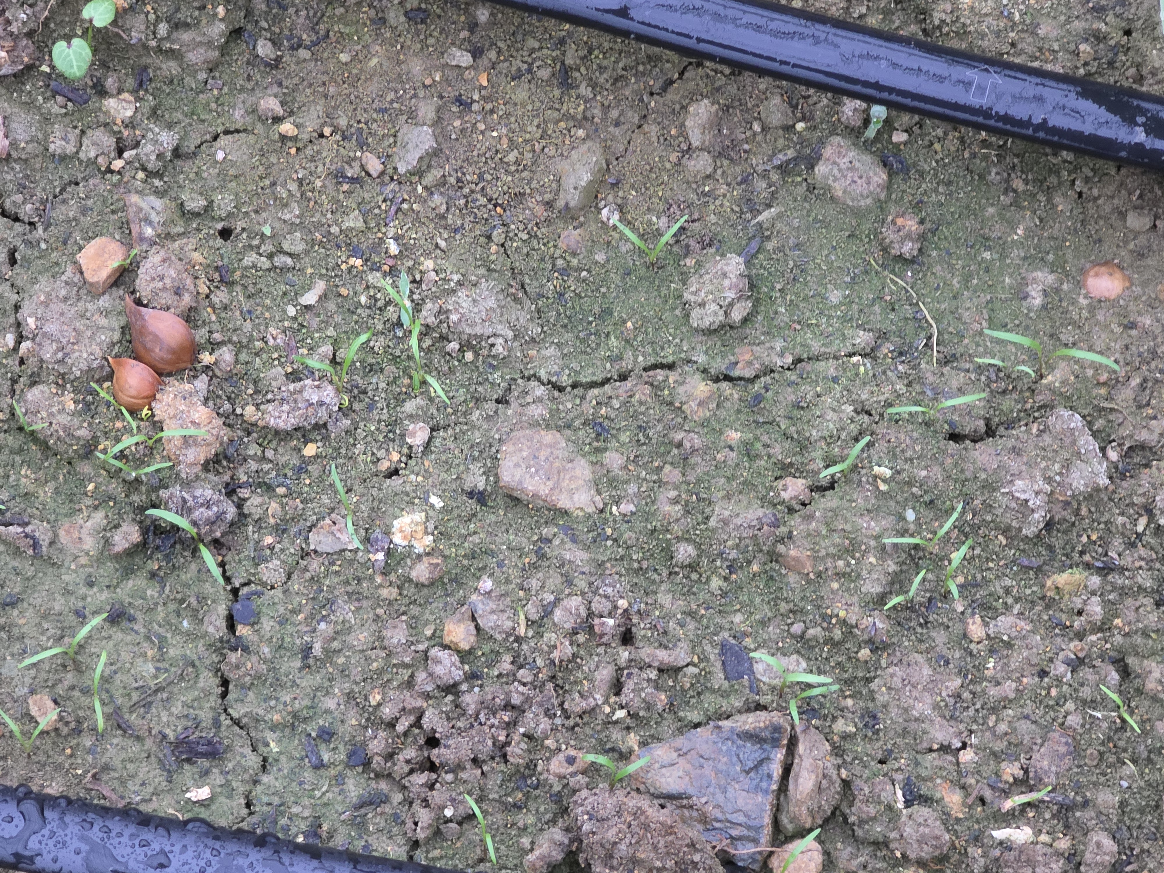 이게 뭘까? 궁금 1